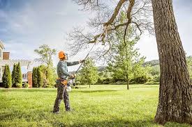 Best Commercial Tree Services  in Blissfield, MI